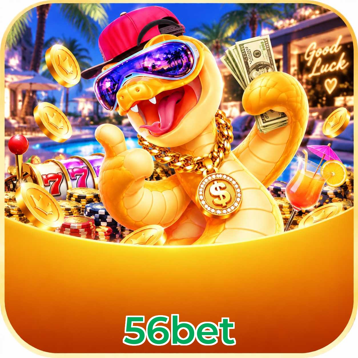 56bet